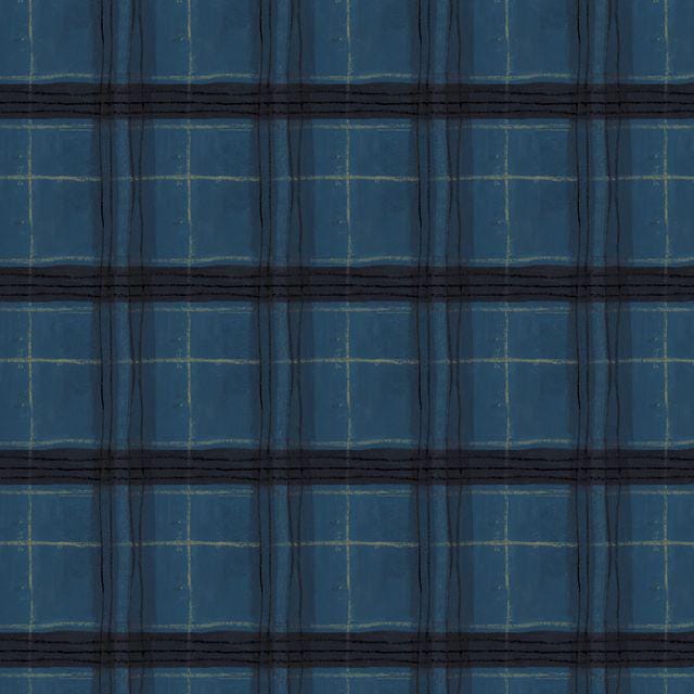 NEW The Plaid One fabric Marcia Derse Window Pane Plaid Night Sky BTHY quilting cotton