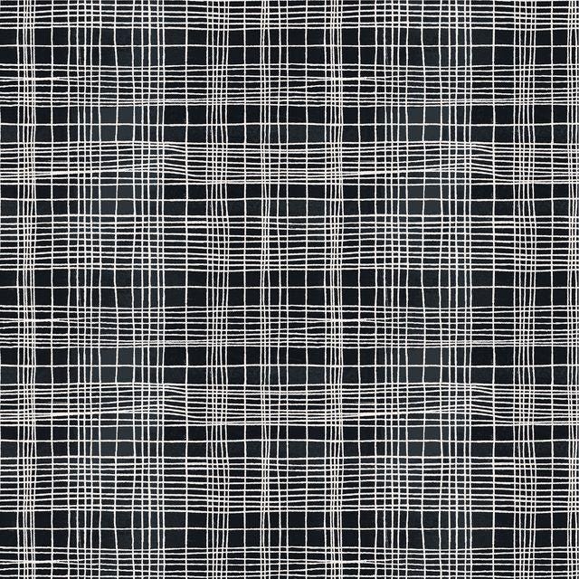 NEW The Plaid One fabric Marcia Derse Theory in color Space Tunnel BTHY quilting cotton