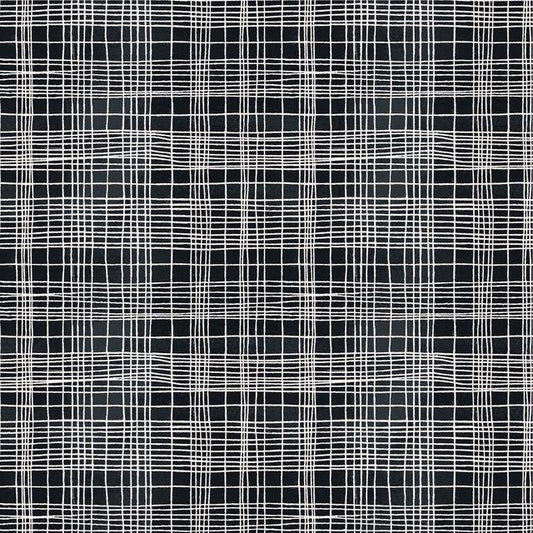 NEW The Plaid One fabric Marcia Derse Theory in color Space Tunnel BTHY quilting cotton