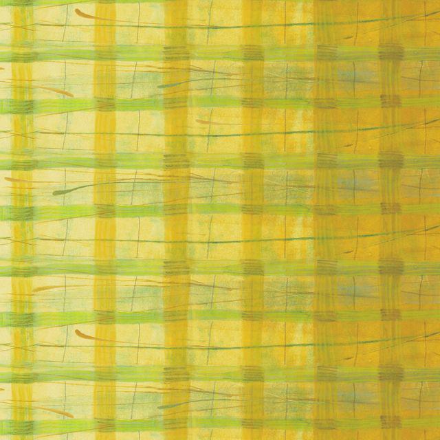 NEW The Plaid One fabric Marcia Derse Yuzu BTHY quilting cotton
