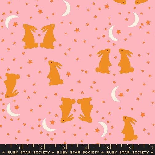 Mystic Fable fabric 10 inch squares Layer Cake Ruby Star Society Moda Fabrics