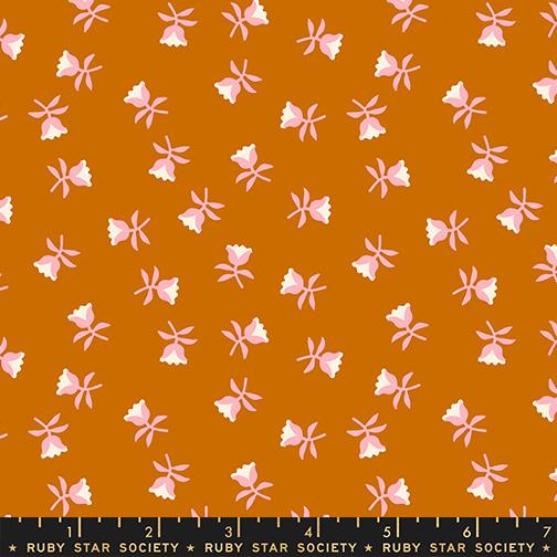 Mystic Fable fabric 23 fat quarters Ruby Star Society Moda Fabrics